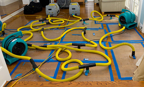 Professional Burst Pipe Water Damage technician working in Oak Brook, IL